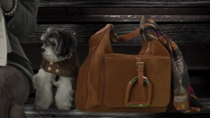 Ralph Lauren's The Dog Walk