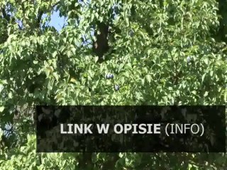 aktualizacja pb cod2