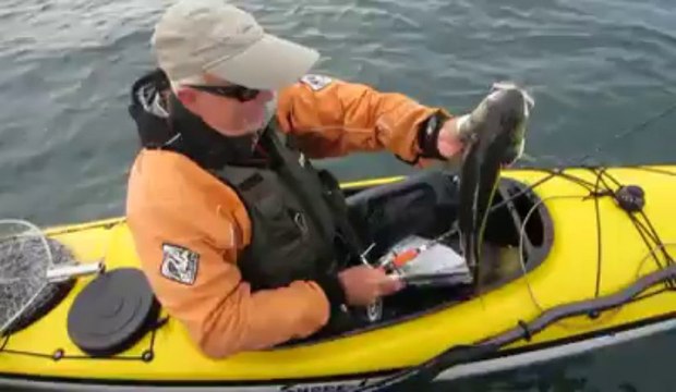 Saint-Pol-de-léon (29). Concours de pêche en no kill