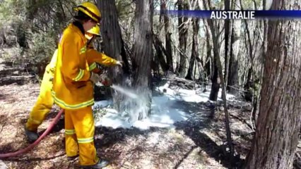 AFP - Le JT, 2e édition du mercredi 23 octobre