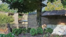 The Canyon and Knox Landing Apartments in Knoxville, TN - ForRent.com