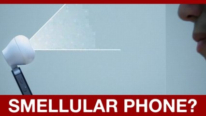 GTA V Online Problems, Make Your Cellphone a Smellphone and New Walking Dead Webisodes | DweebCast | OraTV