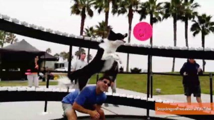 540-Degree Photo Booth Provides 'Matrix'-Like Results