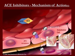 ACE inhibitors Nadia Saliba UTS Spring 2013