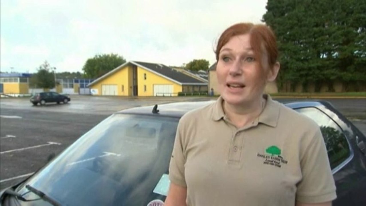 Une école anglaise fermée pour lutter contre une invasion d'araignées