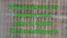 papagalos