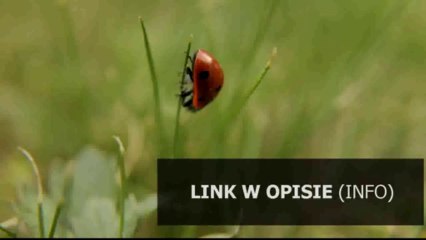 zbior zadan z elektrotechniki markiewicz chomikuj