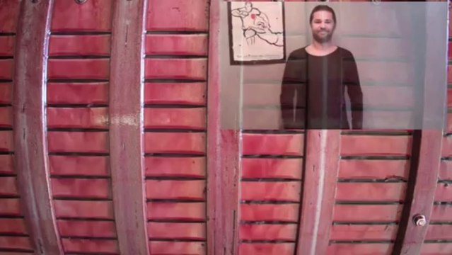 Les vendanges et la vinification