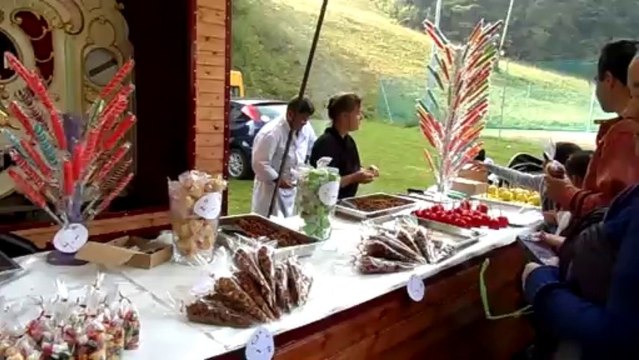 carrousel-limonaire.ch location carrousel limonaire confiserie casse boite geneve, lausanne , vaud,