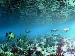 JÓ CAP 6 - A BÍBLIA NA LINGUAGEM DE HOJE