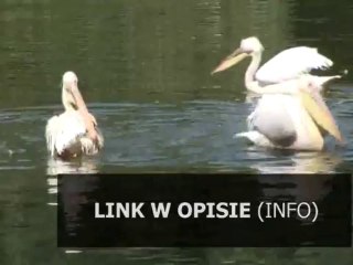 ciaza co jesc zeby nie przytyc