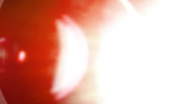 Minka Kelly and Chris Evans Split