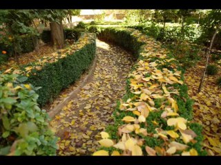 JÓ CAP 18 - A BÍBLIA NA LINGUAGEM DE HOJE