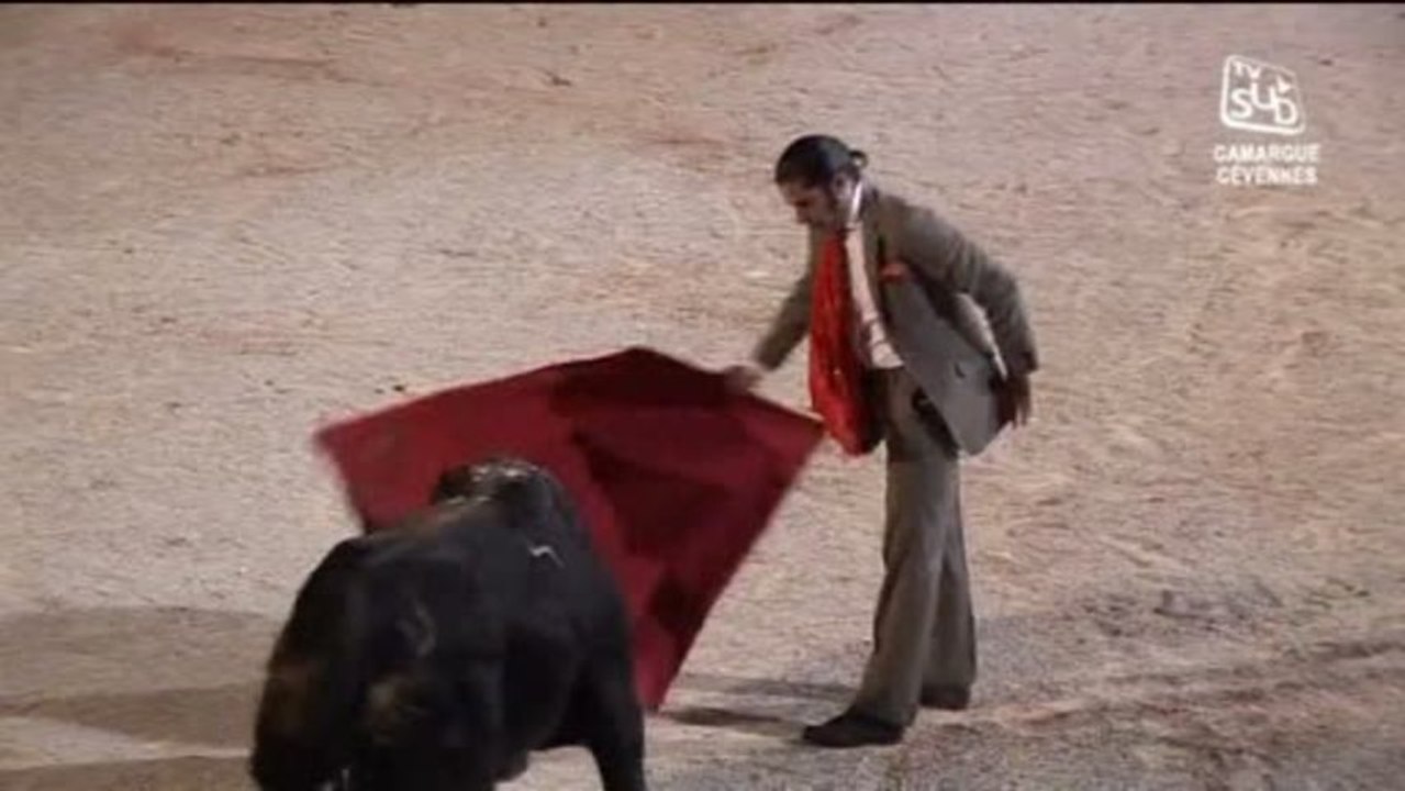 La Noche y Toros 2013 (Beaucaire)