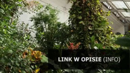 praca licencjacka relacje produkt turystyczny