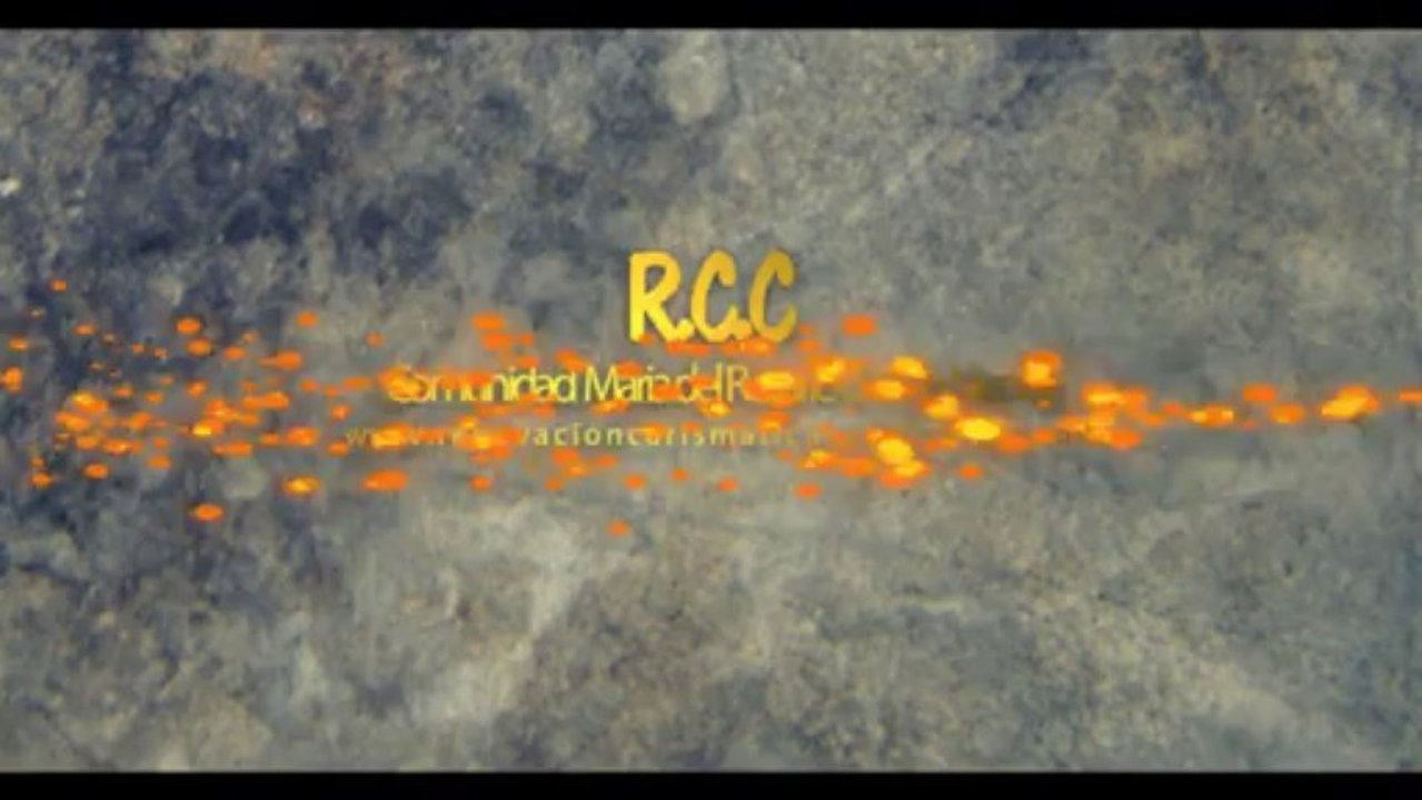 Renovacion carismatica catolica de  vgg