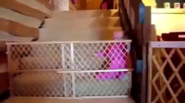 Genius Babies Escape Their Cribs!