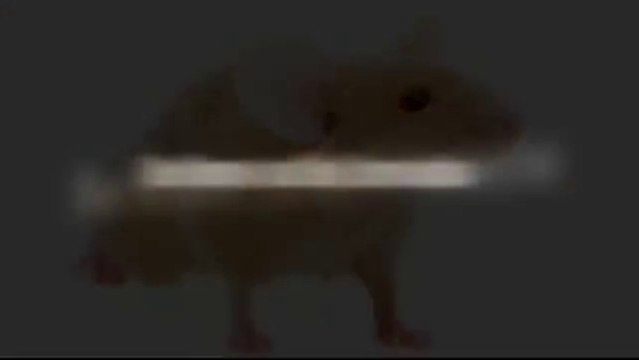 Sterling VA Pest Control