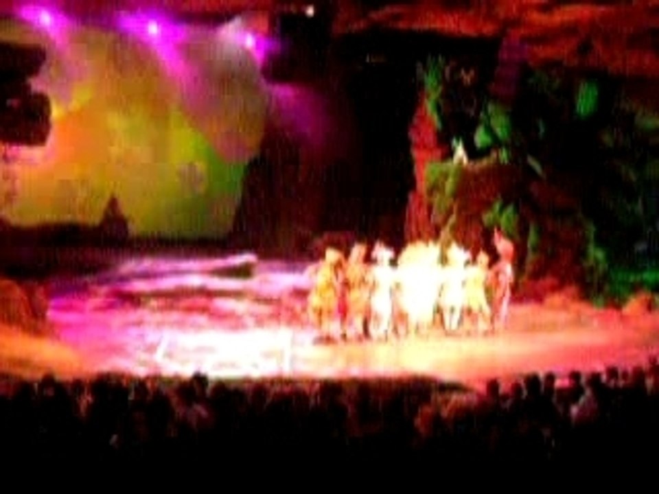 spectacle roi lion disney land paris