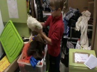 reportage 1 a la découverte de Jean Michmich