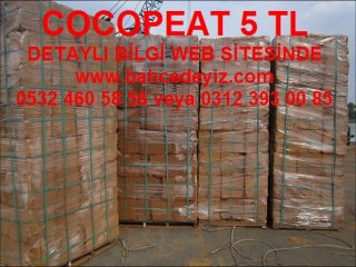 Cocopeat,Hindistan cevizi torfu,kokopit,cocopeat satış,cocopeat fiyat,cocopeat fiyatı