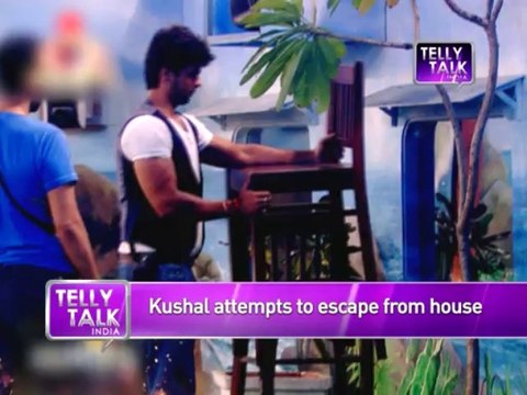 Bigg Boss - 23rd October 2013 : Kushal Tandon attempts to ESCAPE from house & mo