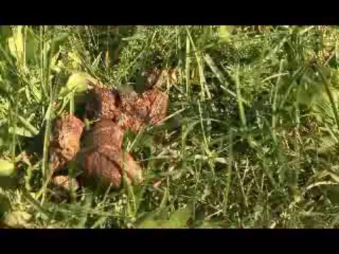 Sửa Bình Nóng Lạnh Tại Cổ Nhuế 0904 921 009