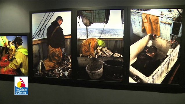 Deux nouvelles expositions au musée