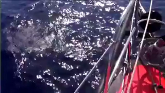 Vendée Globe. Heureux qui comme Alessandro di Benedetto...