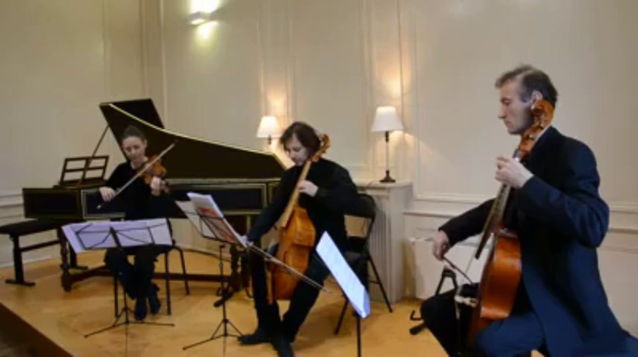 Vannes (56). Renaissance d'une "lyraviol"