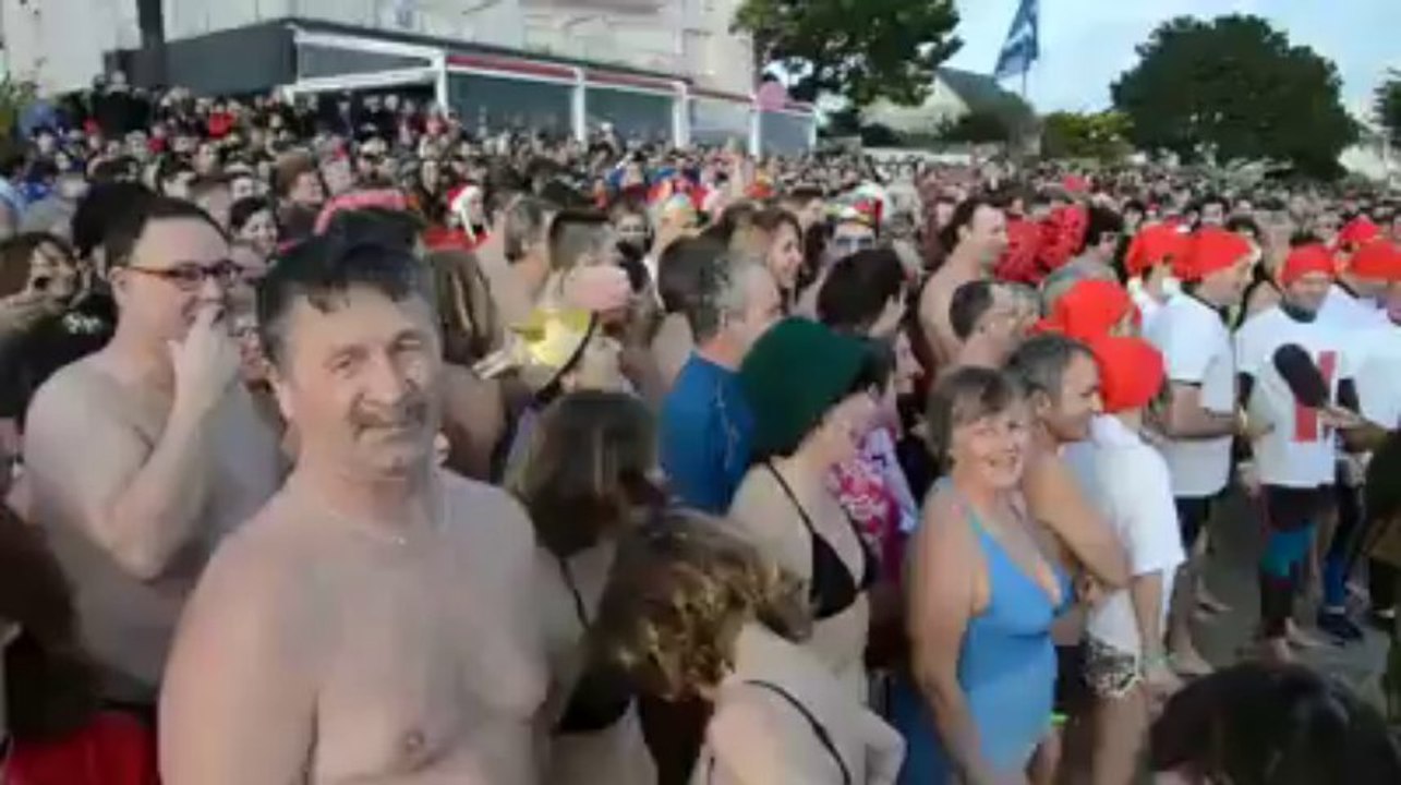 Baignade des otaries à Fouesnant