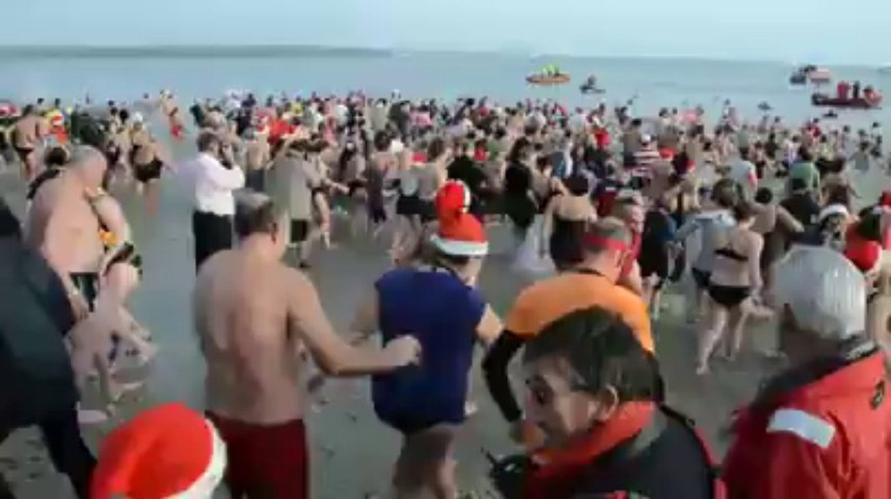 Baignade des otaries à Fouesnant