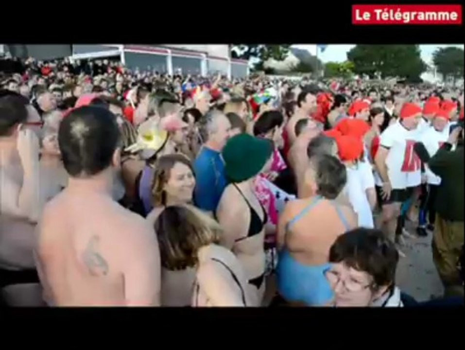 Fouesnant (29). Baignade des otaries