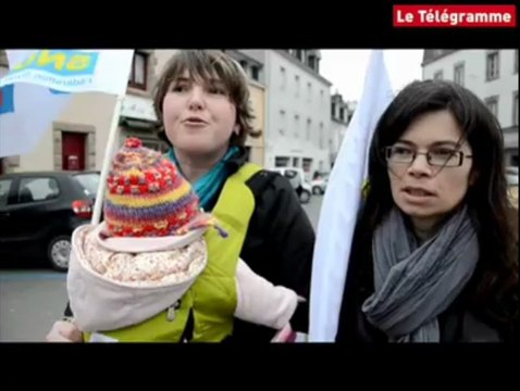 Quimperlé. Une soixantaine de manifestants défendent la fonction publique.