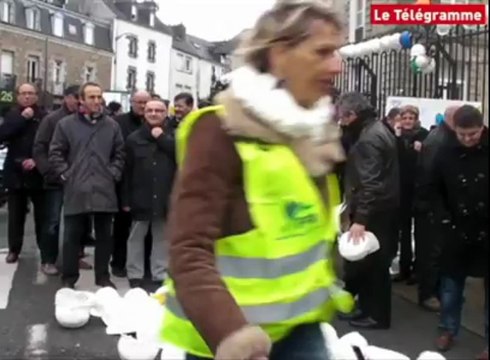 Vannes. Les professionnels du bâtiment dans la rue