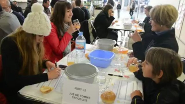 Saint-Brieuc. Terralies : les premières images