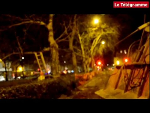 Quimper. Dix platanes coupés en bordure de l'Odet