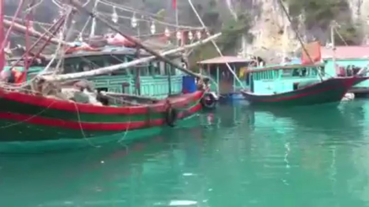 Viet Nam. Un village de pêcheurs dans la baie d'Halong