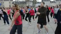 Zumba géante sur le port de Vannes