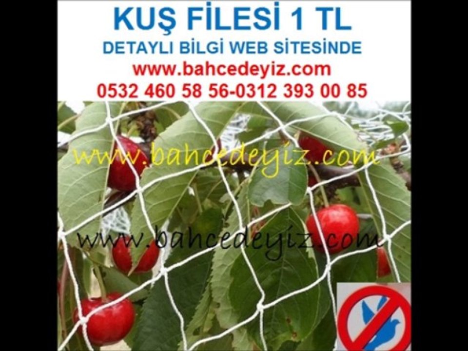 Güvercin filesi,güvercin ağı,güvercin önleme filesi,güvercin-önleme-filesi