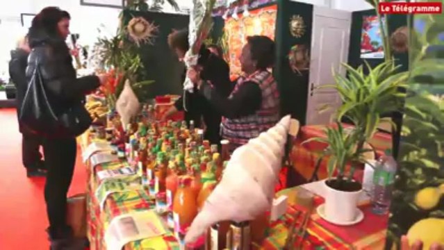 Brest. Sur les pontons avant la Transat Bretagne-Martinique