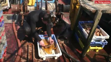 Brest. La Marine fait sauter des bombes immergées dans la rade