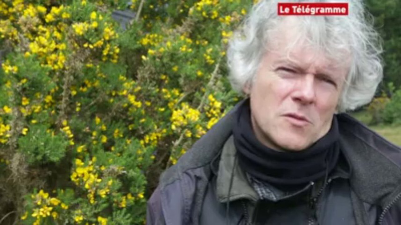 Larmor-Baden. Des archéologues veulent percer les mystères de Gavrinis