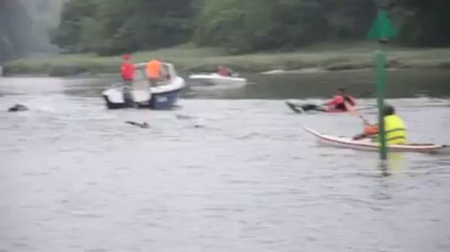 Paimpol. Descente du Trieux