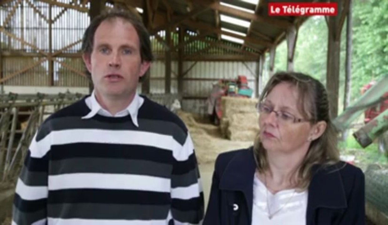 Saint-Michel en Grève (22). De l'herbe contre les algues vertes