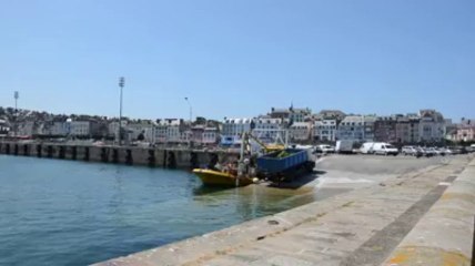 Ramassage d'algues vertes en baie de Douarnenez