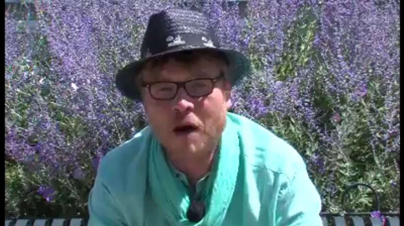 Tébéo aux Charrues (jeudi)