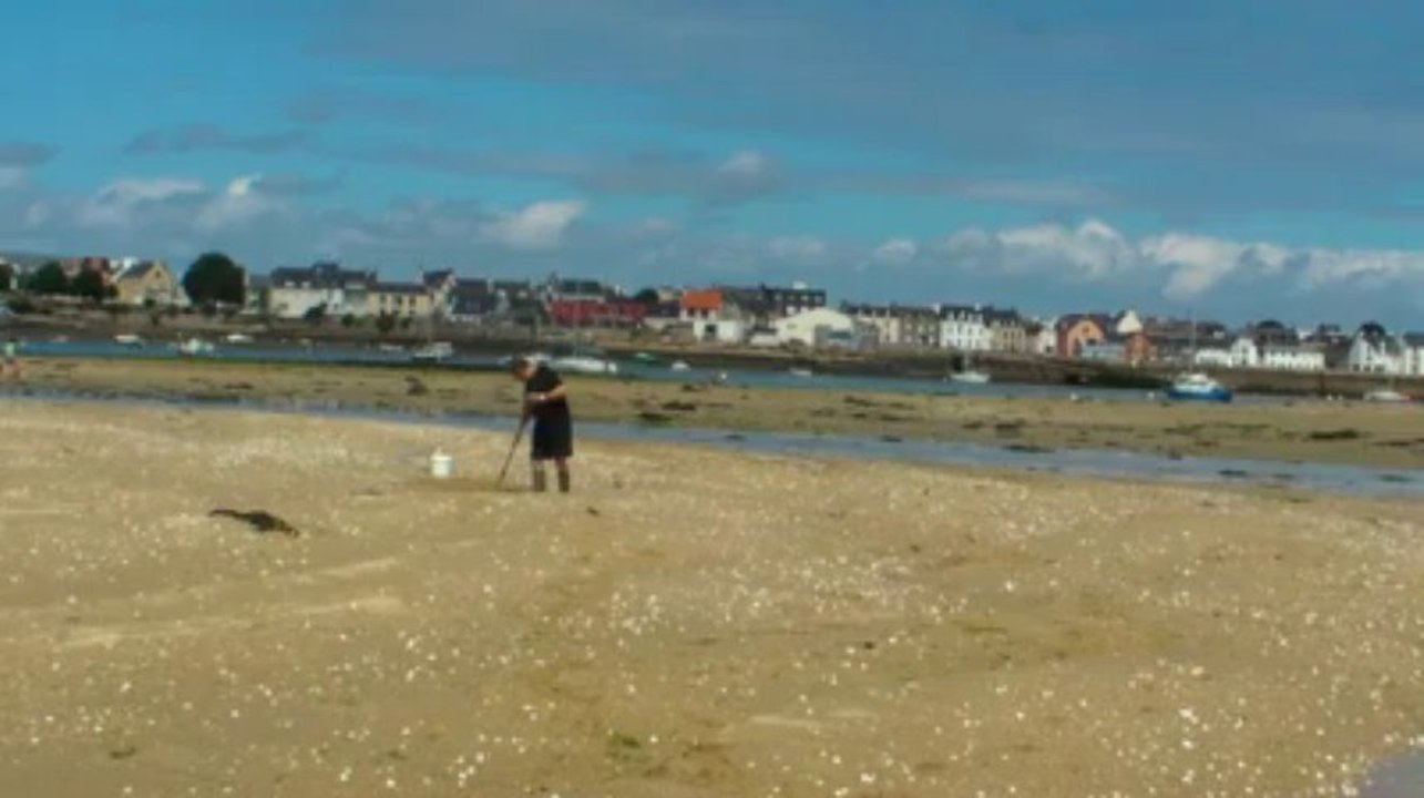 Pêche à pied à Lorient