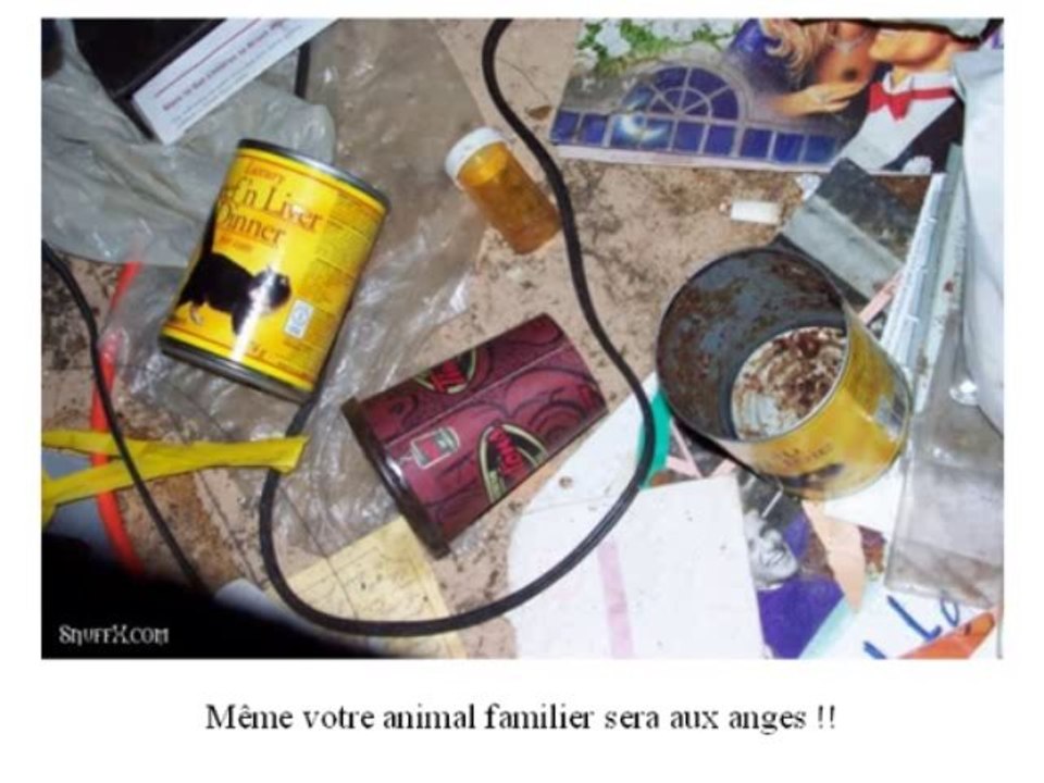 Histoires Marrantes 1