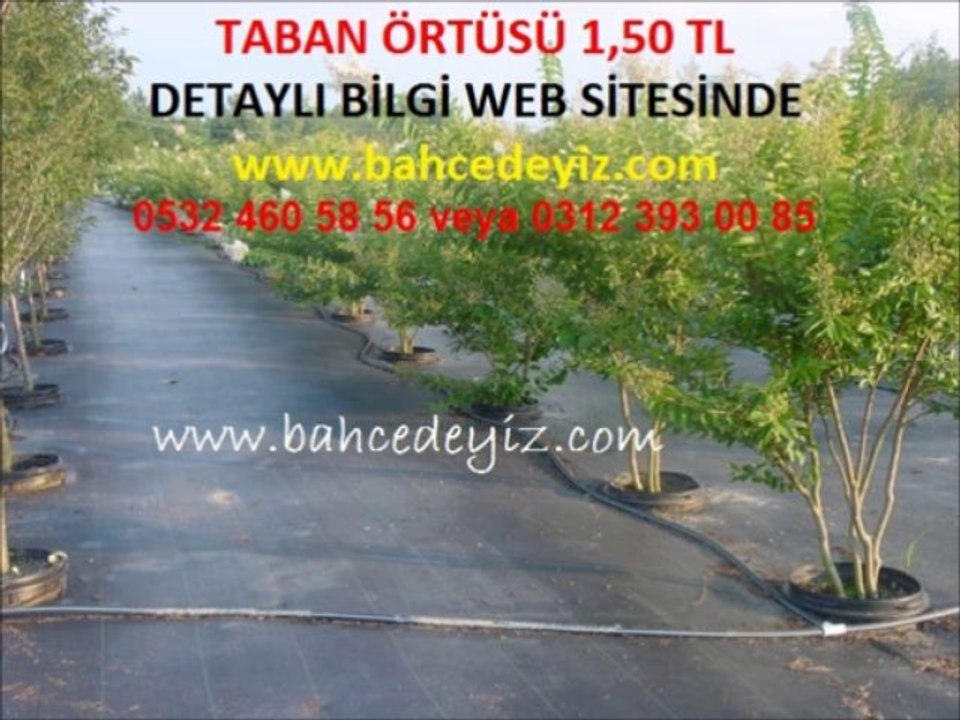 taban örtüsü jüt,taban-örtüsü-jüt,taban ortusu,taban-ortusu,taban örtüsü fiyatları,taban örtüleri,taban-örtüleri,taban-örtüsü-fiyatları,taban örtüsü ankara